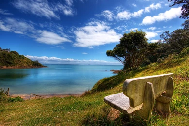 Nice_Nature _Wallpaper_ HD.jpg