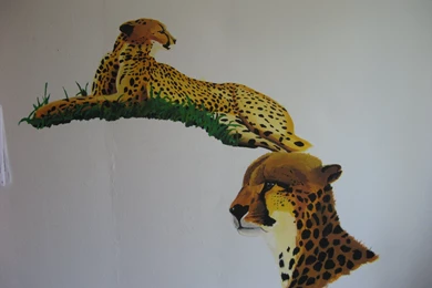 Cheetah Wallpapers By YurYu On DeviantArt