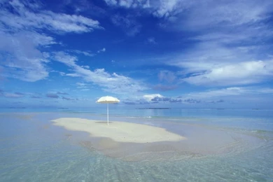 Tropical Oasis Wallpapers 231415