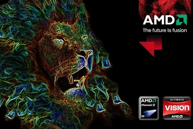 AMD Phenom Wallpapers X3/X4/II/i7/Dragon/GX/FX/7 Series   Page 6