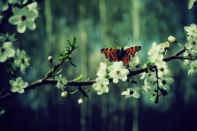 The_whole_wide_world_is_mine_by_princessisabell d3f0z7o.jpg