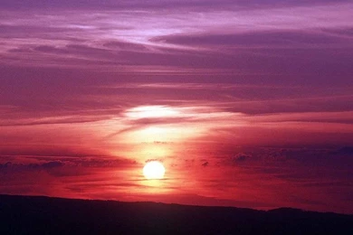 Purple/Pink In P:E Setting   Pillars Of Eternity: General ...