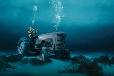 Free Download Wallpapers HD : Fantastic Funny High Resolution Hd ...