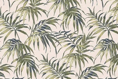 Palm Tree Wallpapers