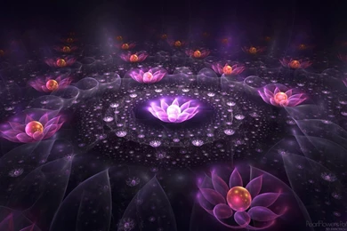 Best Collection Of Flowers Wallpapers Wallpapers   Gethdpics.com