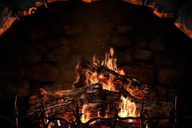 Photography   Page 254