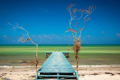 Cuba Picture – Beach Wallpapers   National Geographic Photo Of The Day