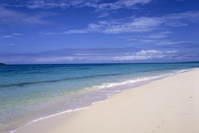 Sandals Beaches Discount All Inclusive Resorts Palace, Riu, Club Med