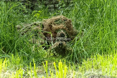 423472_snajper_kamuflyazh_zasada_3648x2736_www.Gde Fon.com.jpg