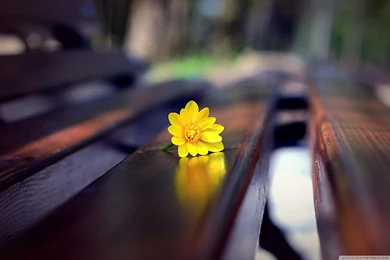 Love Archives   Page 14 Of 16   Free Wallpapers Full Hd 1080p, High ...