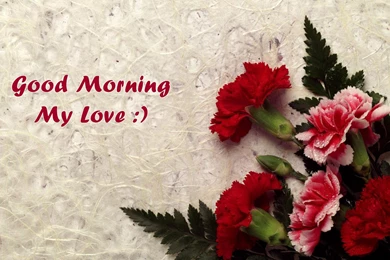 Romantic Good Morning Wallpapers To Download