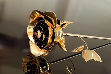 Style Vehicles Flower Flower Rose Gold Leaf Leaf Reflection ...