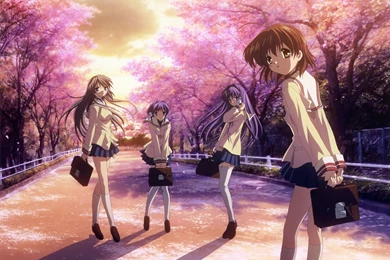 Clannad Wallpapers (13389)   Wallpaperesque