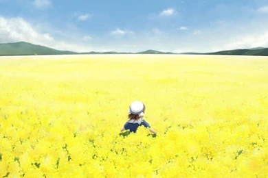 CLANNAD WALLPAPER   (