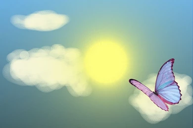 Free Animated Season Wallpapers Butterfly In Summer Photos Of Grab ...