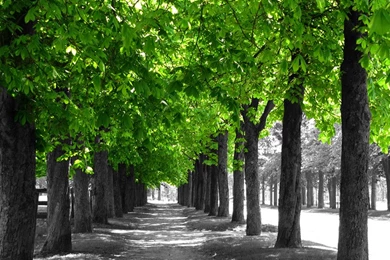 Dead.Space.Wallpapers iPad Horizontal 960x640 By StativBurn2k6 On ...