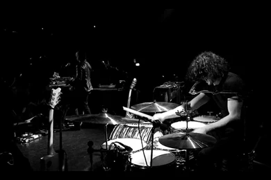 DW   The Dead Weather Wallpapers (7636811)   Fanpop