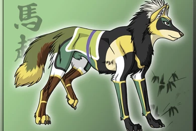 Dw Ma Chao   Dynasty Warriors Wallpapers (23344462)   Fanpop