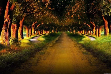 Desktop Wallpapers DW Desktop U13E   KOYPEDIA