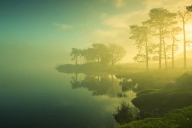 Plain Wallpaper, Wallpaper, Plain Wallpapers Hd Wallpapers ...