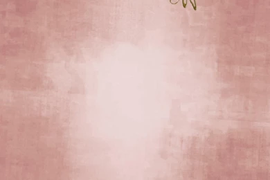 Plain Background Images   Wallpapers HD Fine