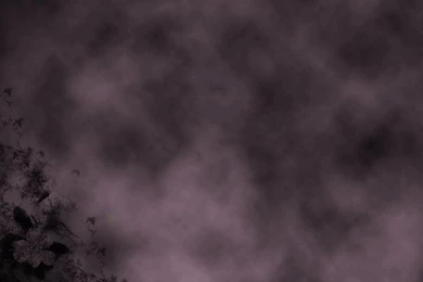 Cute Plain Backgrounds   Wallpapers Cave