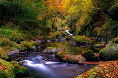 A beautiful autumn landscape in the forest 5120x2880.jpg