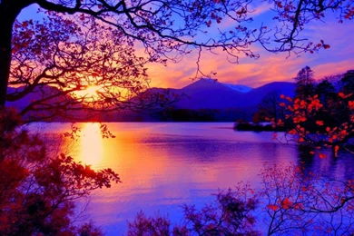 Autumn Landscape With A Sunset Wallpapers And Images   Wallpapers ...