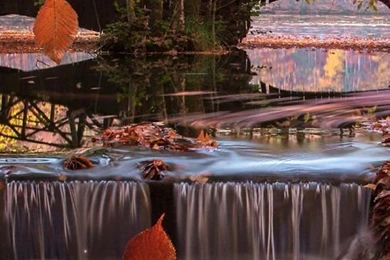 Autumn Landscape Wallpapers   Android Apps And Tests   AndroidPIT