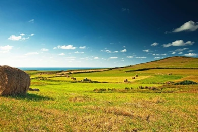 Landscapes Skylines Fields Farms Desktop Background Images HD ...