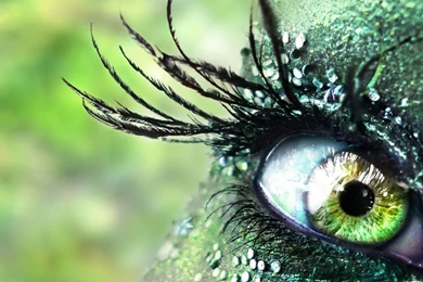 Fantastic Wallpapers