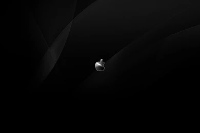 Pretty Butterfly (id: 101894) – BUZZERG