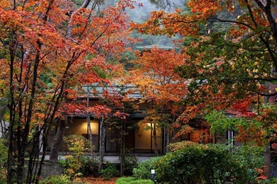 Japan Autumn Desktop Wallpapers