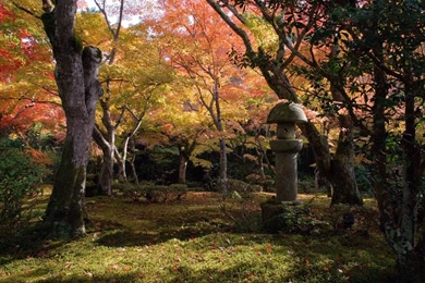 Autumn In Japan Desktop Wallpapers