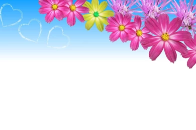 Flower Art Backgrounds Desktop
