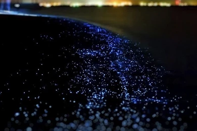 Dark Ocean Wave At Night Light Blink Wallpapers Free Desktop ...