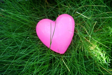 Pink Heart Wallpapers And Photos For Desktop