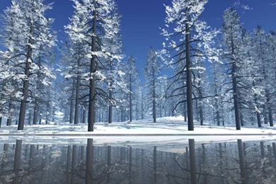 Winter Wallpapers   Winter Wallpapers (2768504)   Fanpop