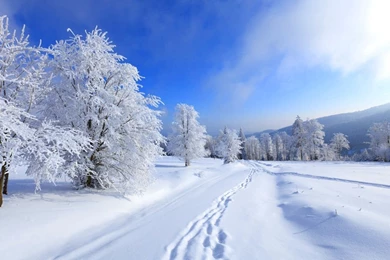 Winter Wallpapers 22   Best Wallpapers Collection