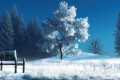 Full HD 1080p Winter Wallpapers HD, Desktop Backgrounds 1920x1080 ...