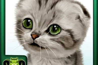 Page 74 Of Free Download Android Application   Createapk.com