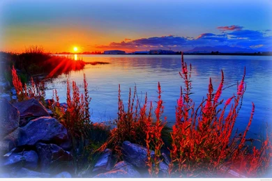 Awesome Summer Wallpapers