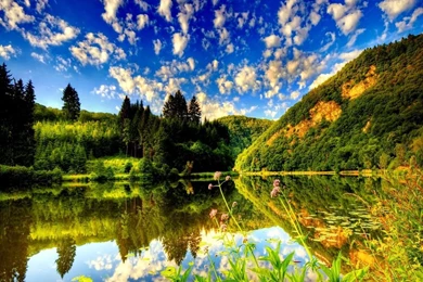 Summer Nature Hd Background 9 HD Wallpapers.jpg