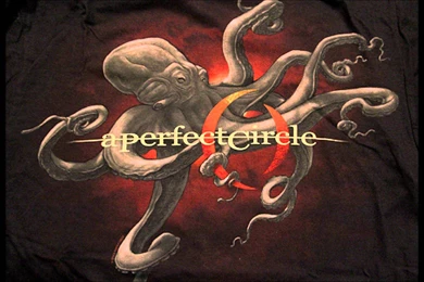 A Perfect Circle Album Covers