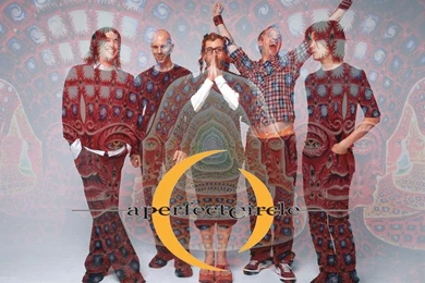 A Perfect Circle Wallpapers By Svnthenigma On DeviantArt