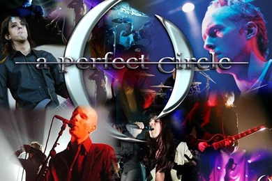 Fuck Yeah Maynard James Keenan!