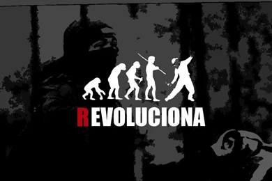 REVOLUTION / 画像一覧   MusicHubz