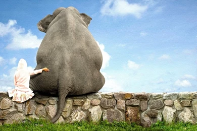 Elephant HD Desktop Wallpapers