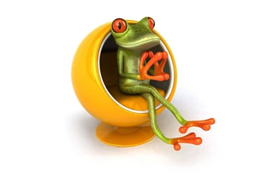 49 Frog Desktop Wallpapers That Will Look Very Well On A Dell ...