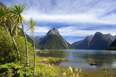 Real Nature Wallpapers   HD Wallpapers And Pictures